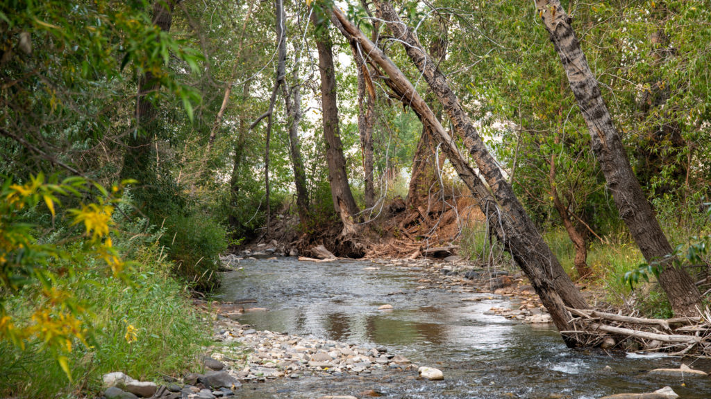 Mission Creek Sanctuary