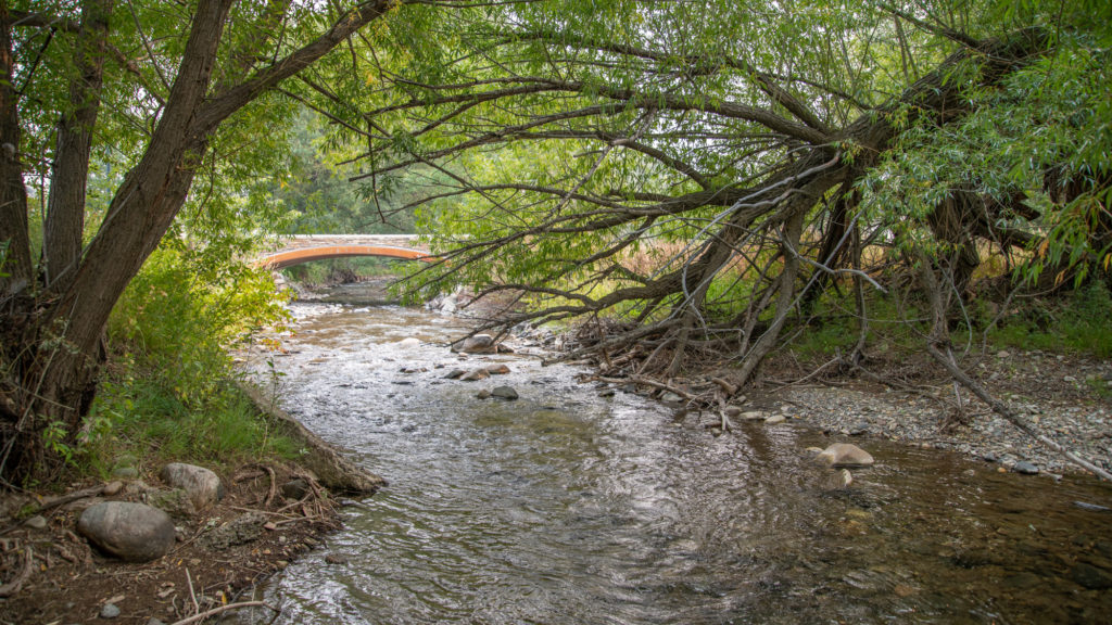 Mission Creek Sanctuary