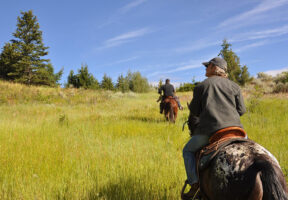 OC Ranch Parcels