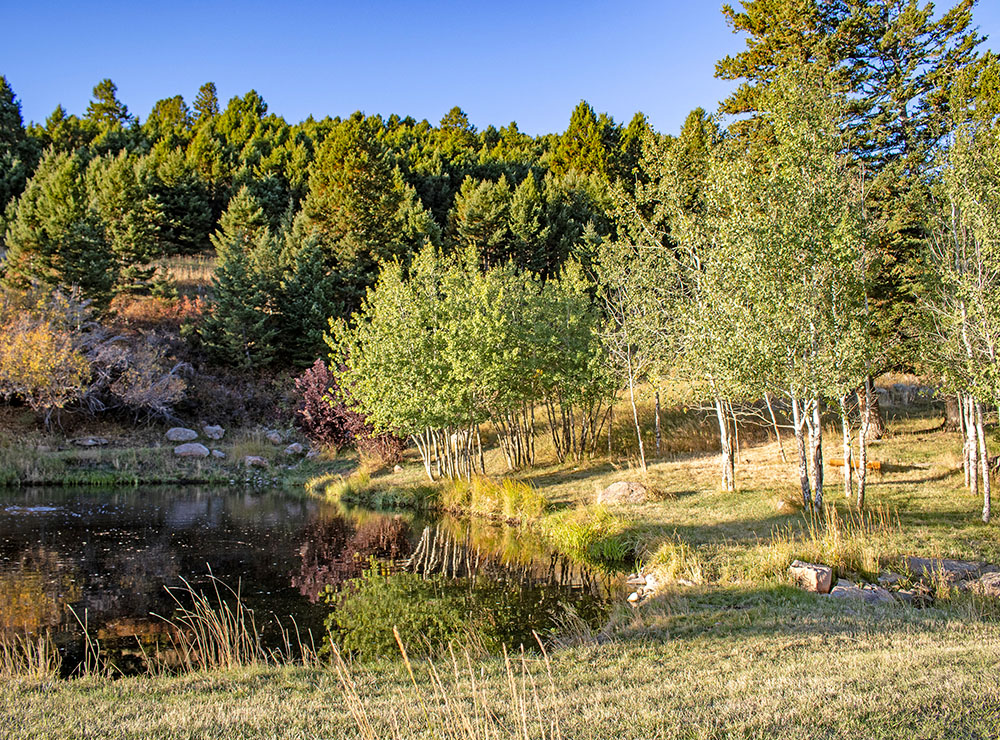 SKY BAND RANCH BETWEEN LIVINGSTON & BOZEMAN MT