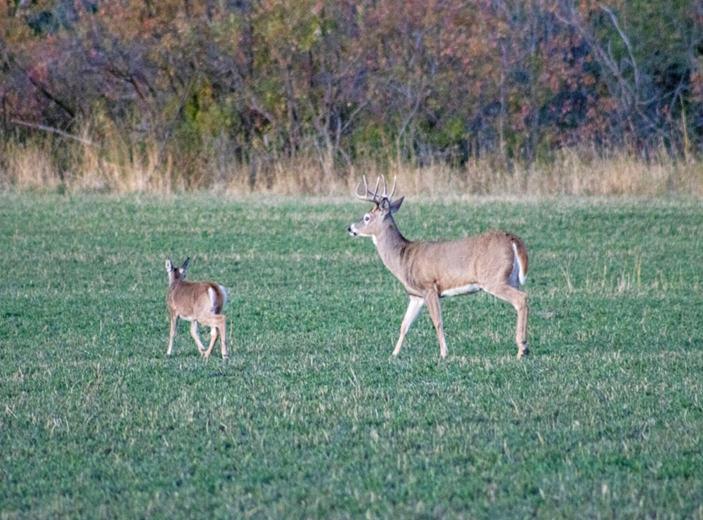 SKY BAND RANCH BETWEEN LIVINGSTON & BOZEMAN MT