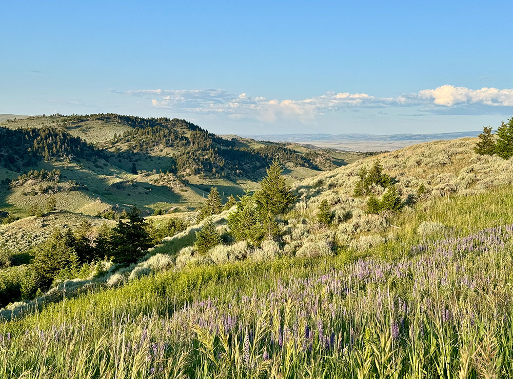 SKY BAND RANCH BETWEEN LIVINGSTON & BOZEMAN MT