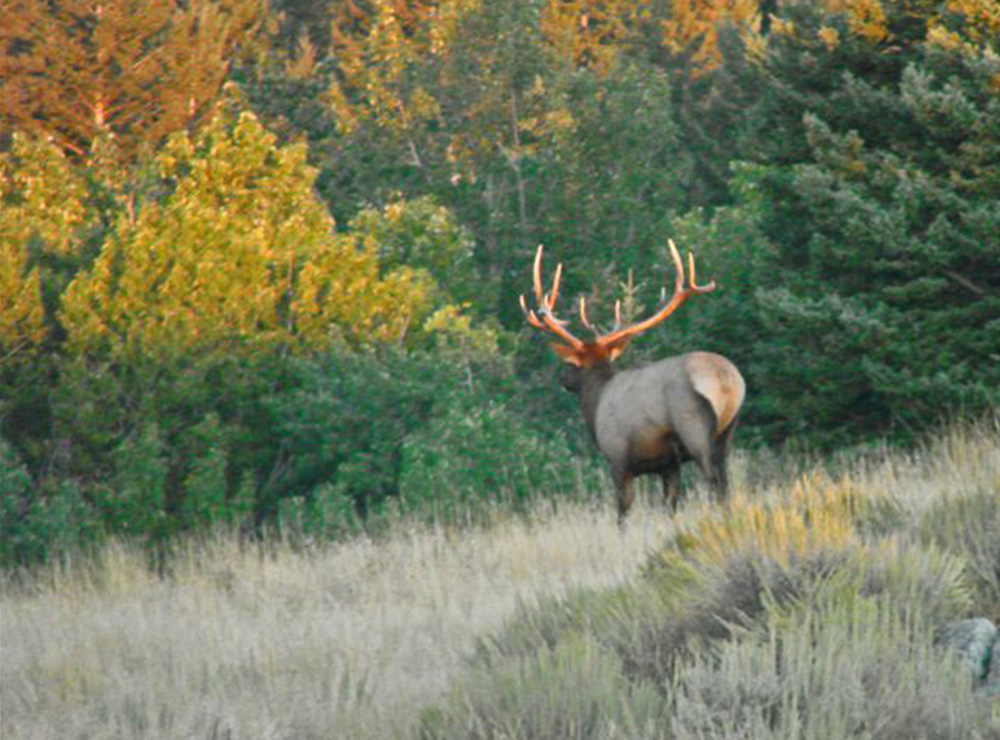 Big 5 Ranch – between Livingston and Bozeman MT
