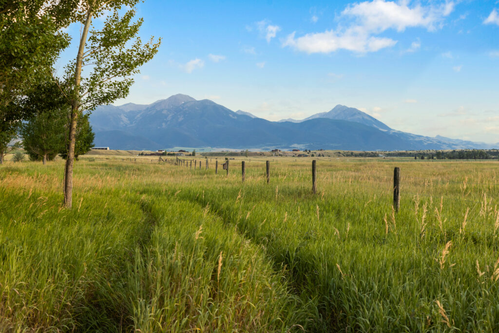 1921 East River Road Livingston Montana (Paradise Valley)