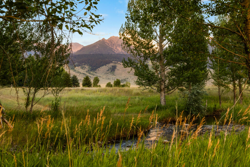 1921 East River Road Livingston Montana (Paradise Valley)