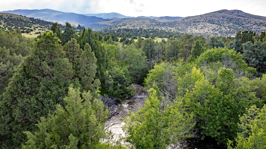 Trail Creek 23 Paradise Valley, Livingston Montana