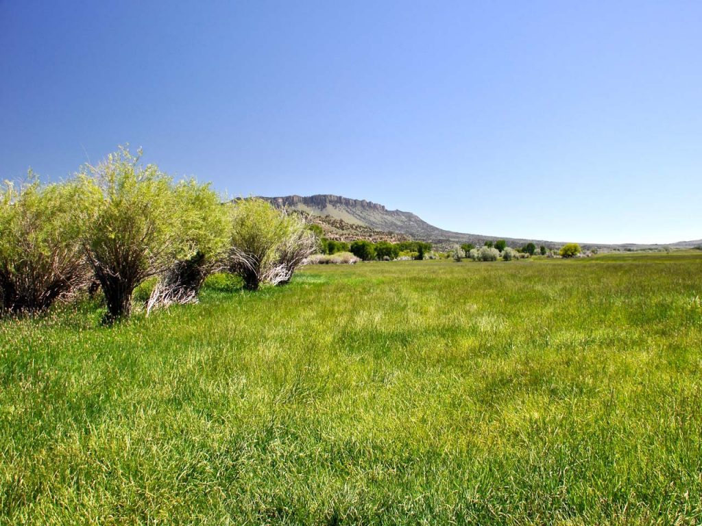 Sold – Yellowstone Preserve Ranch