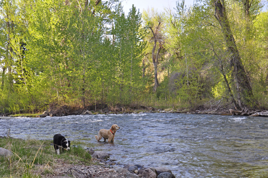 Rainbow Bend Fishing Retreat in Paradise Valley