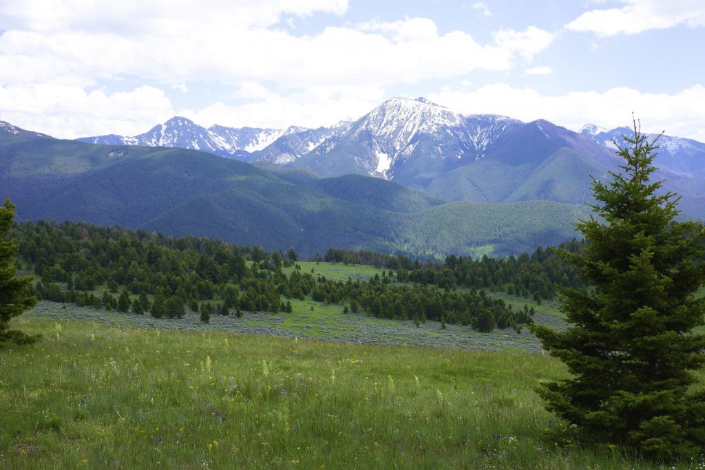 Livingston Peak Recreational Property