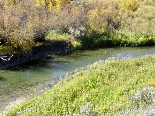 Shields River Sanctuary