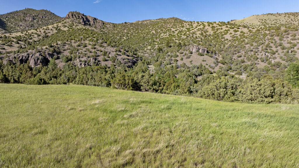 Trail Creek 23 Paradise Valley, Livingston Montana