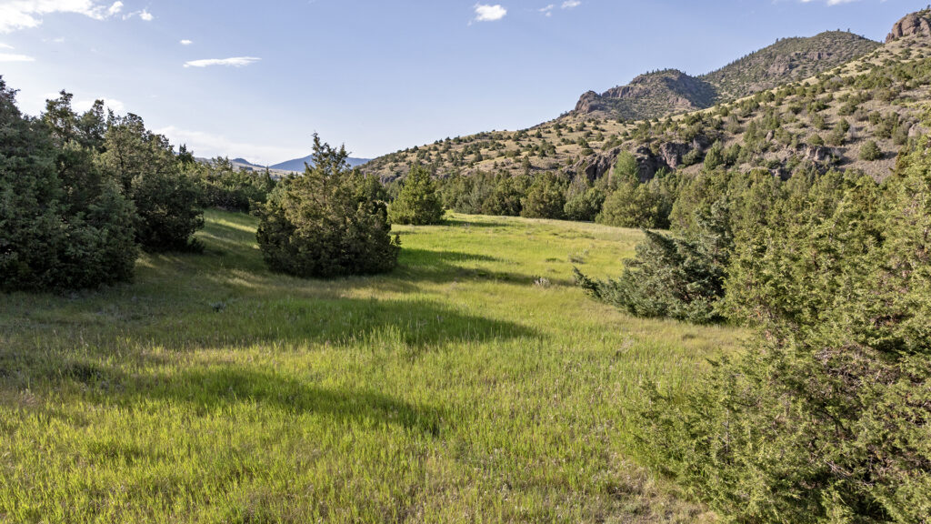 Trail Creek 23 Paradise Valley, Livingston Montana