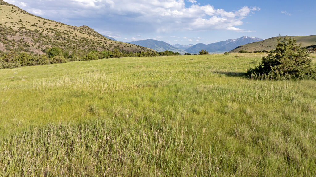 Trail Creek 23 Paradise Valley, Livingston Montana