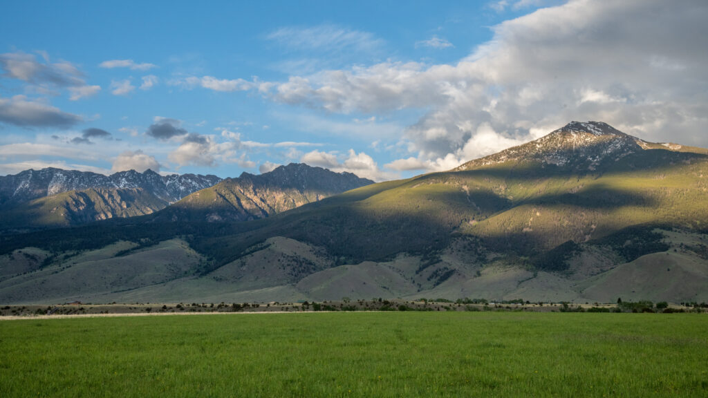 Tall Pony Preserve in Paradise Valley
