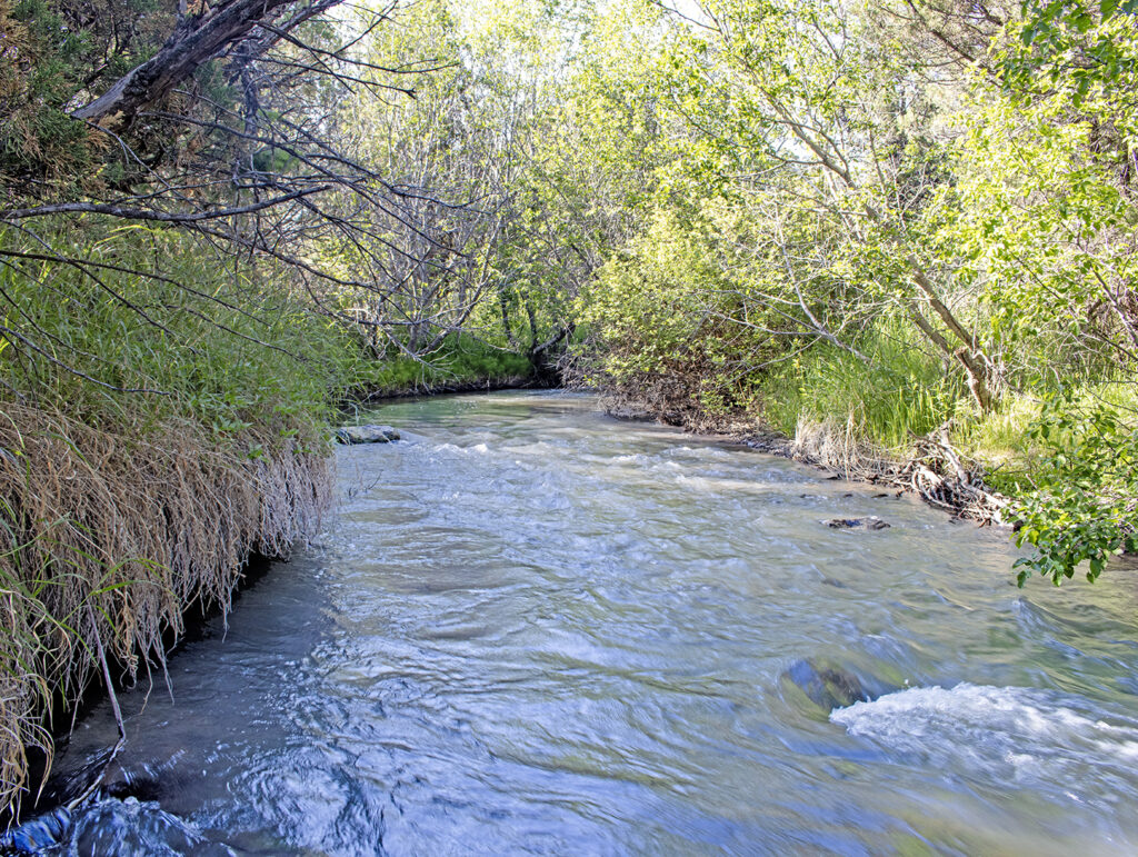 Trail Creek 23 Paradise Valley, Livingston Montana