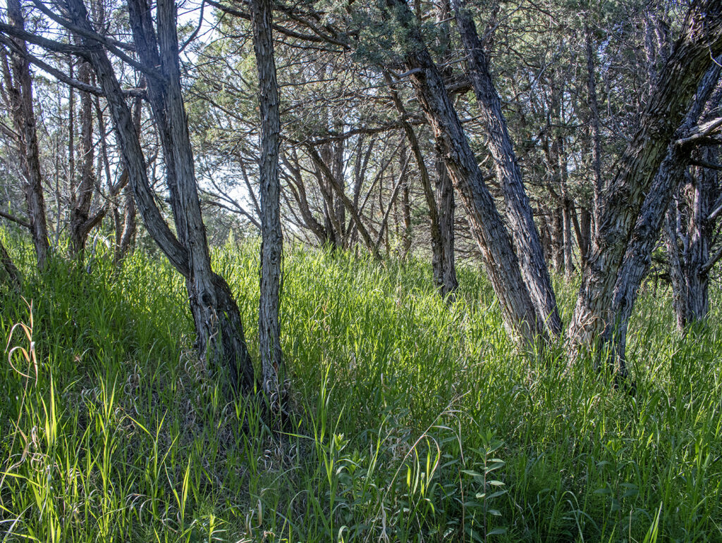 Trail Creek 23 Paradise Valley, Livingston Montana